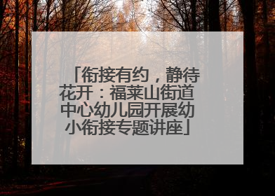 衔接有约，静待花开：福莱山街道中心幼儿园开展幼小衔接专题讲座
